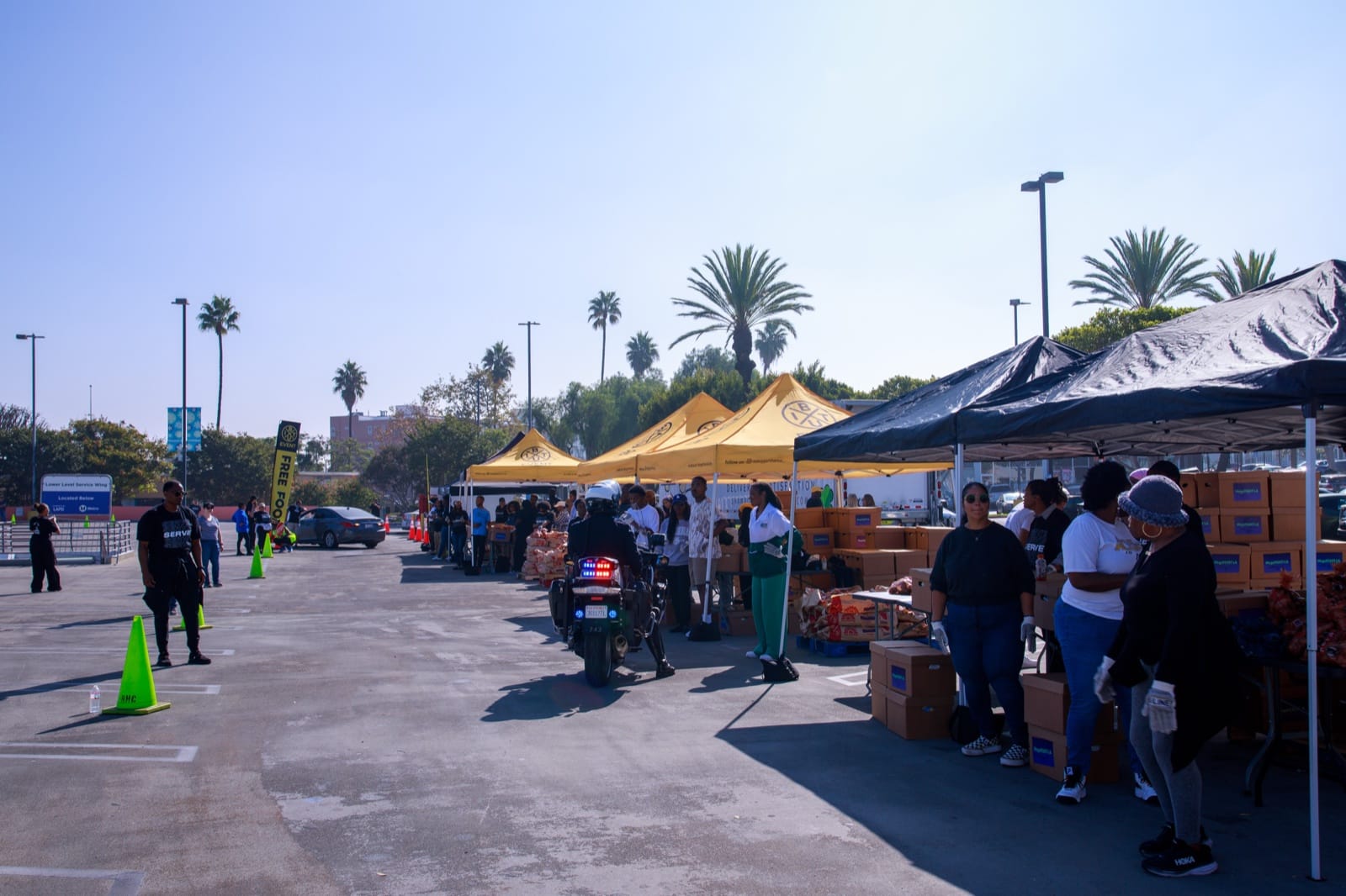875,500 POUNDS OF FOOD. 389 EVENTS. STILL GOING.